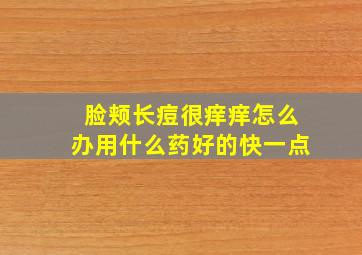 脸颊长痘很痒痒怎么办用什么药好的快一点