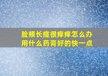 脸颊长痘很痒痒怎么办用什么药膏好的快一点