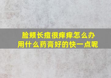 脸颊长痘很痒痒怎么办用什么药膏好的快一点呢