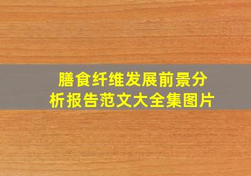 膳食纤维发展前景分析报告范文大全集图片