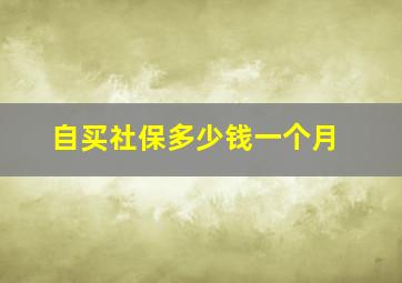 自买社保多少钱一个月