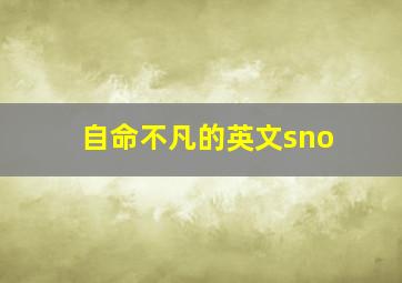 自命不凡的英文sno