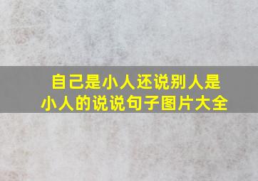 自己是小人还说别人是小人的说说句子图片大全