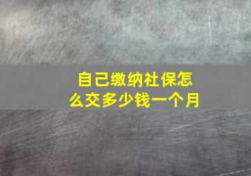 自己缴纳社保怎么交多少钱一个月