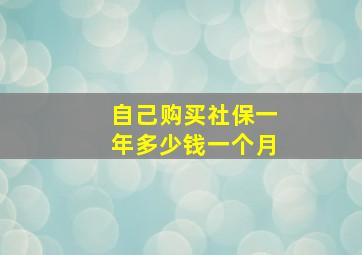 自己购买社保一年多少钱一个月