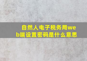 自然人电子税务局web端设置密码是什么意思