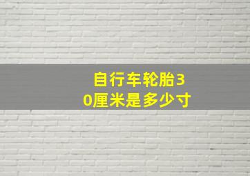 自行车轮胎30厘米是多少寸