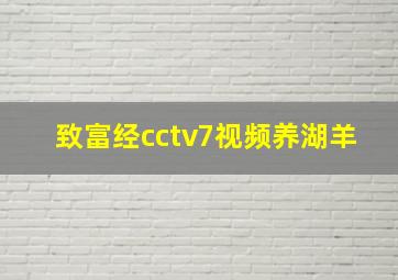 致富经cctv7视频养湖羊