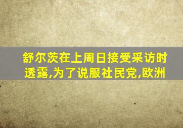 舒尔茨在上周日接受采访时透露,为了说服社民党,欧洲