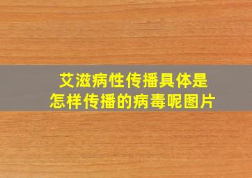 艾滋病性传播具体是怎样传播的病毒呢图片