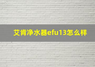 艾肯净水器efu13怎么样