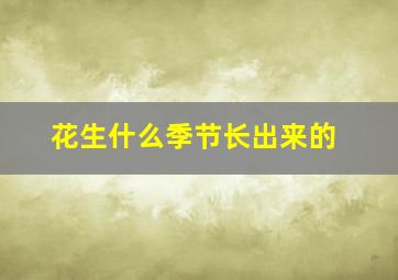 花生什么季节长出来的