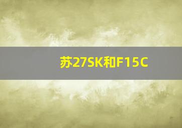 苏27SK和F15C