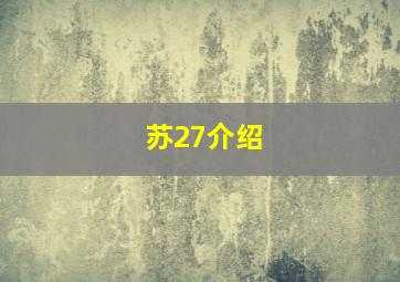 苏27介绍