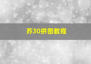 苏30拼图教程