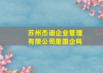 苏州杰迪企业管理有限公司是国企吗