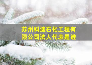 苏州科迪石化工程有限公司法人代表是谁