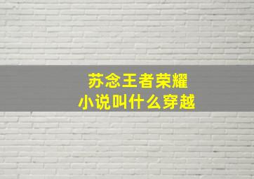 苏念王者荣耀小说叫什么穿越