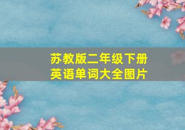 苏教版二年级下册英语单词大全图片