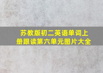 苏教版初二英语单词上册跟读第六单元图片大全