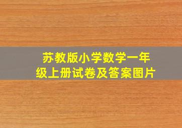 苏教版小学数学一年级上册试卷及答案图片