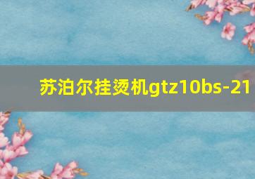 苏泊尔挂烫机gtz10bs-21