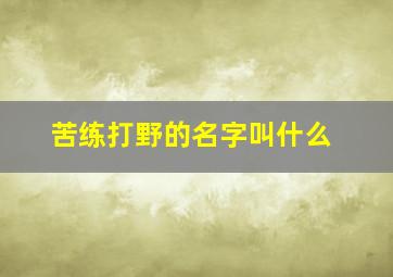 苦练打野的名字叫什么