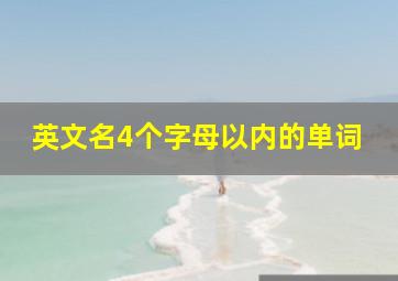 英文名4个字母以内的单词