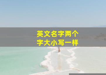 英文名字两个字大小写一样