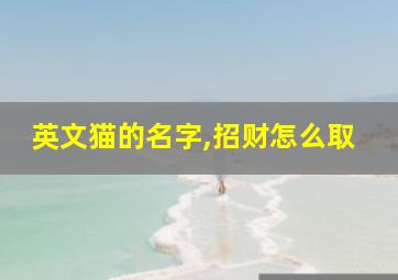 英文猫的名字,招财怎么取