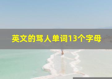 英文的骂人单词13个字母