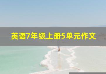 英语7年级上册5单元作文