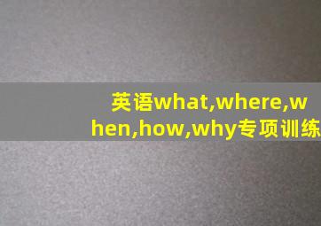 英语what,where,when,how,why专项训练