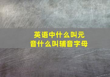 英语中什么叫元音什么叫辅音字母