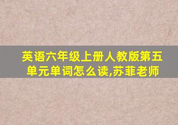 英语六年级上册人教版第五单元单词怎么读,苏菲老师