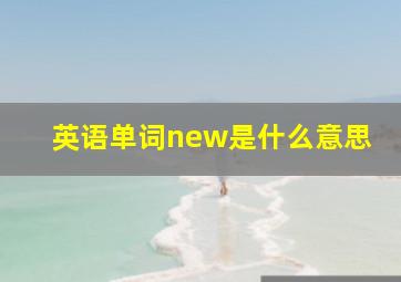 英语单词new是什么意思