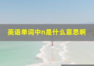 英语单词中n是什么意思啊