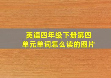 英语四年级下册第四单元单词怎么读的图片