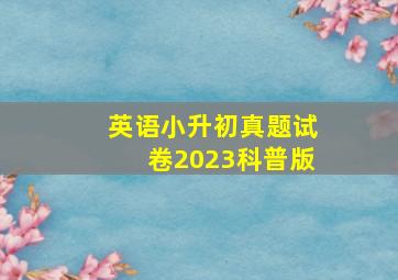 英语小升初真题试卷2023科普版