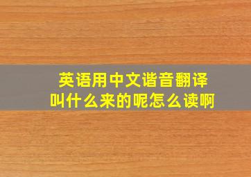 英语用中文谐音翻译叫什么来的呢怎么读啊