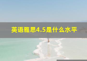 英语雅思4.5是什么水平