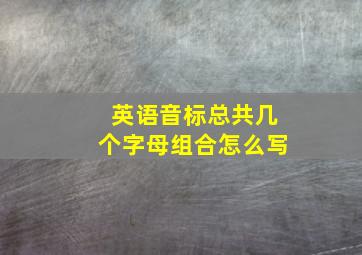 英语音标总共几个字母组合怎么写