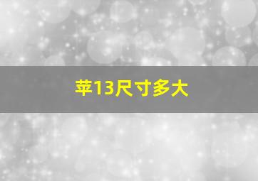 苹13尺寸多大