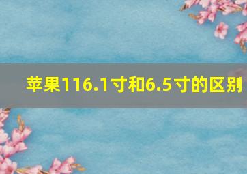 苹果116.1寸和6.5寸的区别