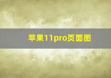 苹果11pro页面图