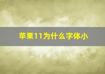 苹果11为什么字体小