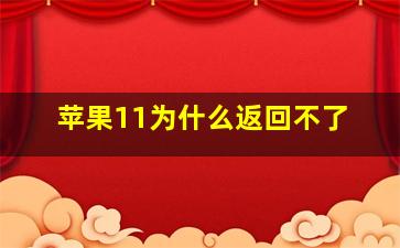 苹果11为什么返回不了