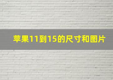 苹果11到15的尺寸和图片