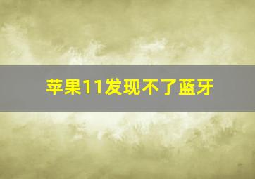 苹果11发现不了蓝牙