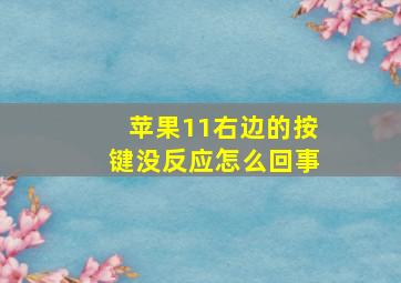 苹果11右边的按键没反应怎么回事